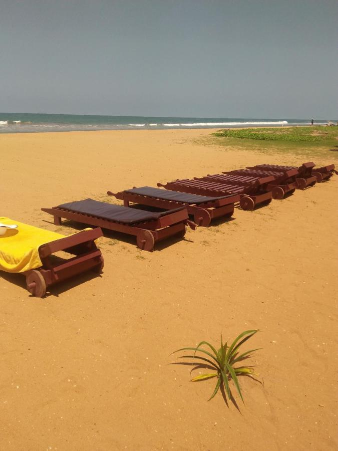 Green Shadows Beach Hotel Ваддува Екстер'єр фото